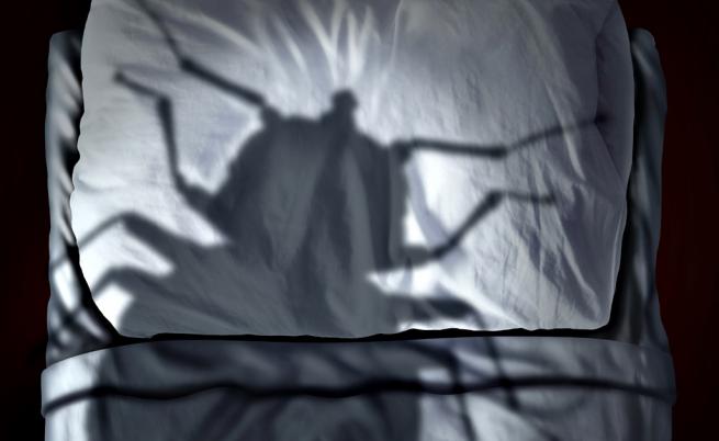  Учени: Дървениците тормозят света 115 млн. години 