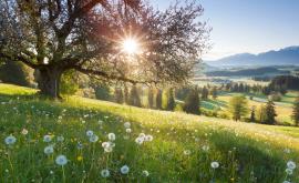  <p>Какво време ни чака през месец юни</p> 