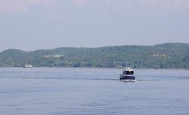  Подновиха издирването на момчето в река Дунав 