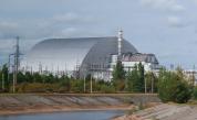  В АЕЦ Чернобил има организъм, който яде радиация 