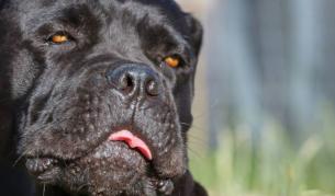 Снимката е илюстративна