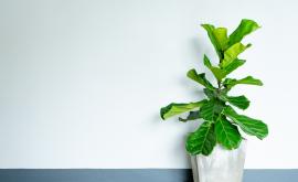  <p>В Инстаграм "пощуряха" по това <span style= 