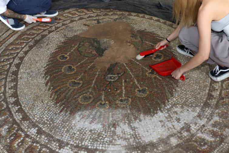  Посланици от 19 страни, дружно с кмета на Пловдив Иван Тотев почистиха с четки една от емблематичните мозайки на Епископската базилика на Филипопол. 