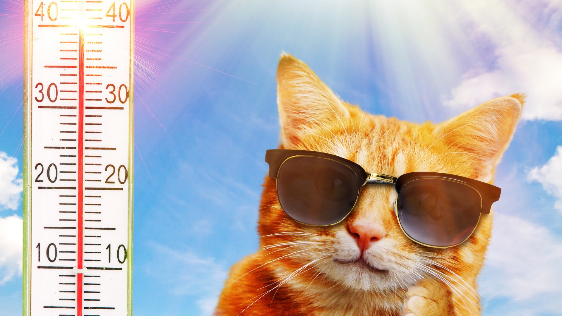 Предупреждение от първа степен – е обявен за много високи