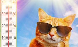  <p>Лятото се завърна, ще бъде ли топло през уикенда</p> 