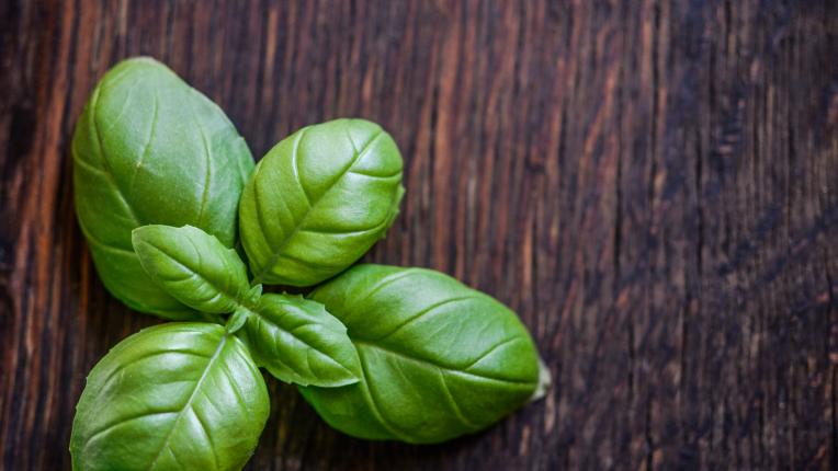  Растенията, които ще ви оказват помощ да се отървете от досадните комари 