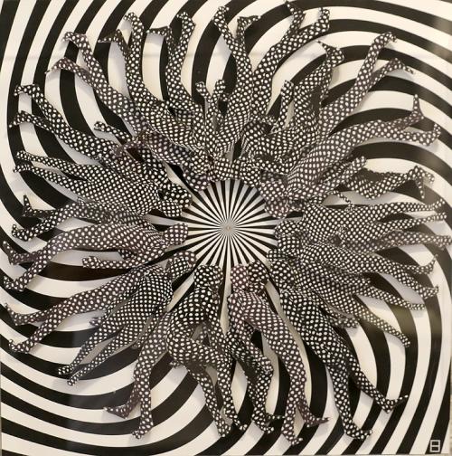  Като отстраняват напълно цветната палитра, творбите генерират нереален и графичен, съвсем кино резултат. По време на пътуванията си художничката продължава да изследва безкрайните благоприятни условия на черното и бялото, като се концентрира върху композицията и формата, върху сянката и светлината. 