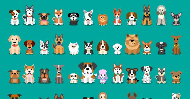 Кучетата са най преданите и верни домашни любимци Те никога няма