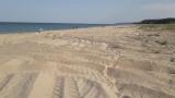  Спешна инспекция след сигнал - разорани дюни на Камчия 