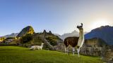  Перу – земя на лами, богата история и индиански племена 