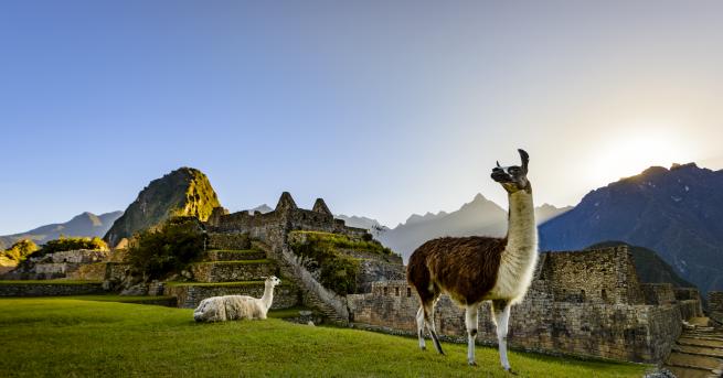Любопитно Перу – земя на лами богата история и индиански