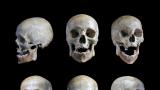  Два черепа могат да трансформират напълно теорията за еволюцията 