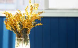  цветя празник имен ден 