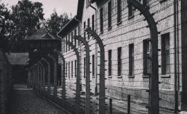  Лагер на гибелта 