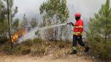  <p>Хиляда пожарникари се борят с пожари в Португалия</p> 