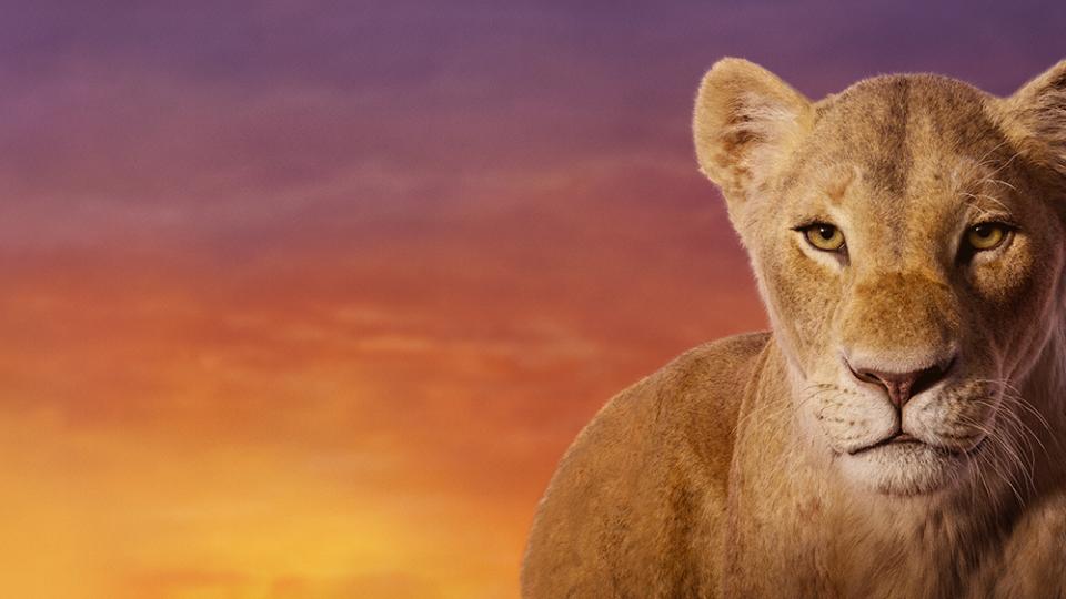 Сезонът на Лъва е време на страст, романтика, креативност и