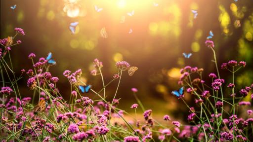  <p>Слънчево и топло, рискова заплаха от пожари</p> 