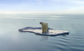  <p><strong>Учени: &bdquo;Нямаме време&rdquo;.</strong> Юли е бил най-горещият месец в историята</p> 