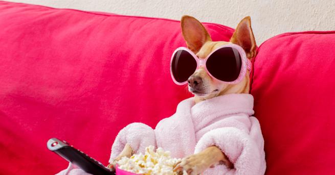 Ако има нещо по любопитно от Деня на лъжата това е 10