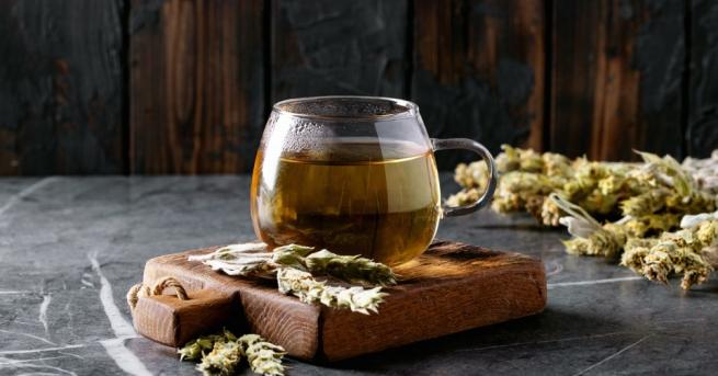 Мурсалският чай е многогодишно растение Смята се за билка с