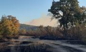  Гори горски пожар към три Хасковски села 