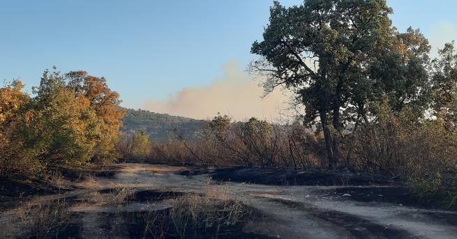 България 8000 декара горят в Хасковско половината са гори В