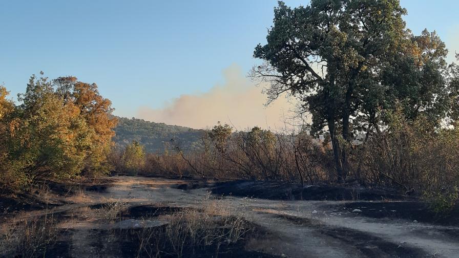 Гори горски пожар около три Хасковски села