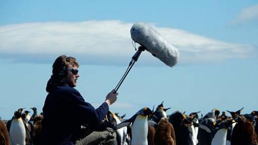  Жулиен Готие записва звуци в природата 