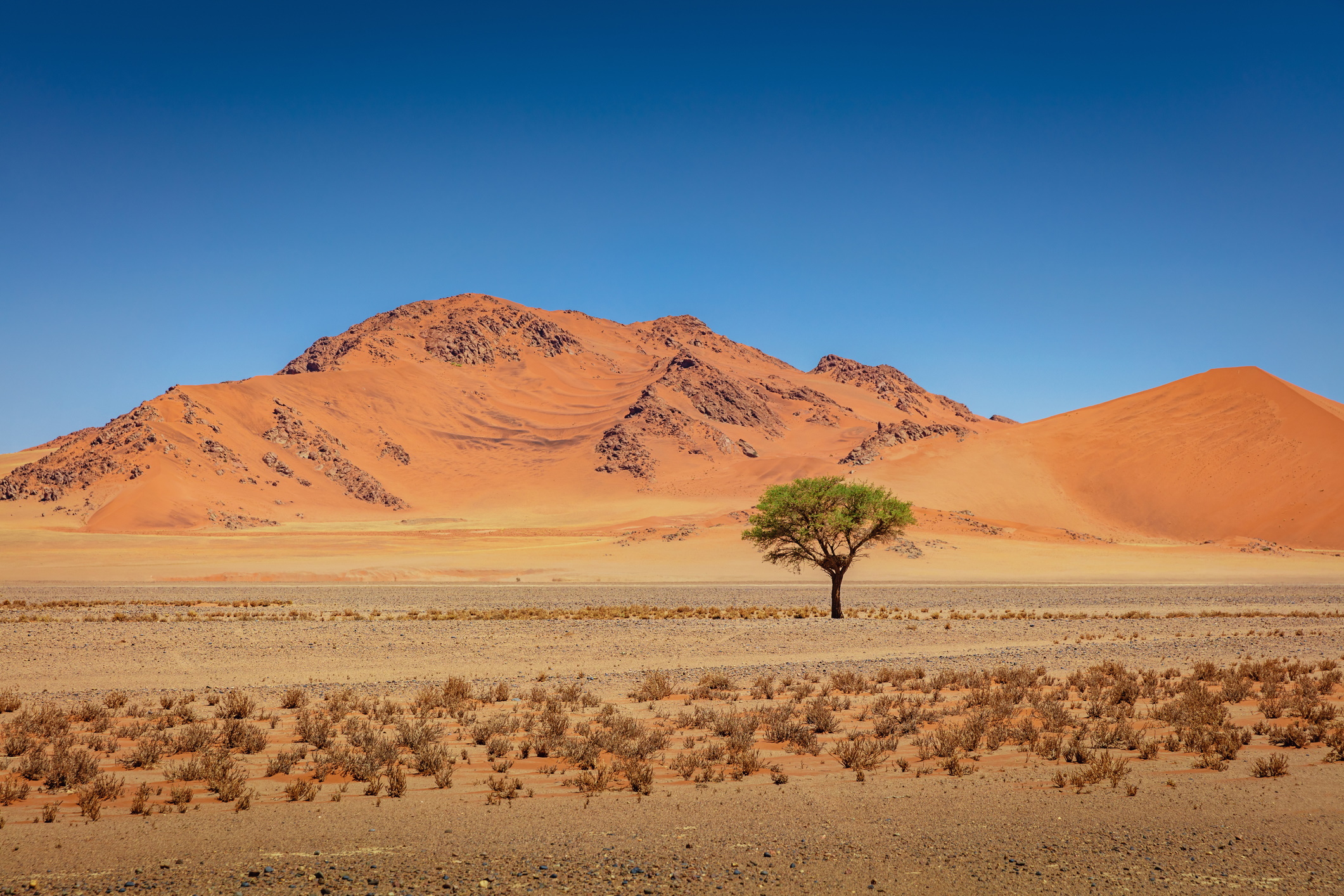 <p><strong>Пустинята Намиб - земя на крайности</strong></p>