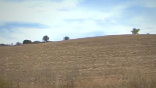  Цяло село с открадната земя за точене на дотации 