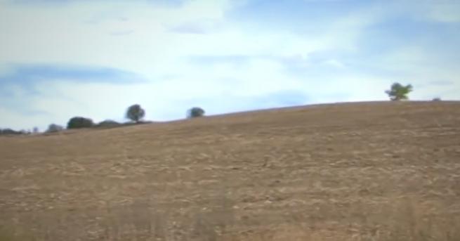 България Цяло село с открадната земя за точене на субсидии