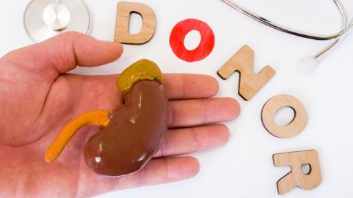  <p>Бъбреци за обмен &ndash; безвредна ли е трансплантацията в Турция</p> 