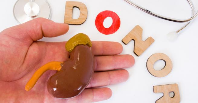 България Бъбреци за продан – безопасна ли е трансплантацията в