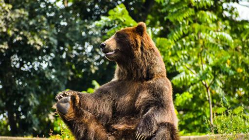  Снимката е илюстративна 