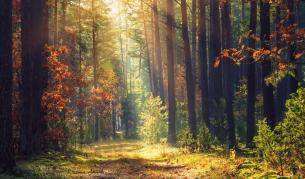 Сряда носи слънце и температури до 21 градуса