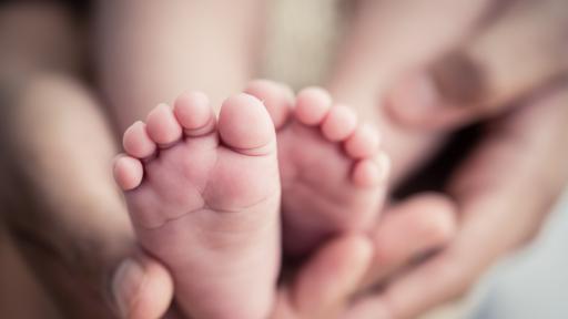  Разкриха скица за незаконни осиновявания от България 