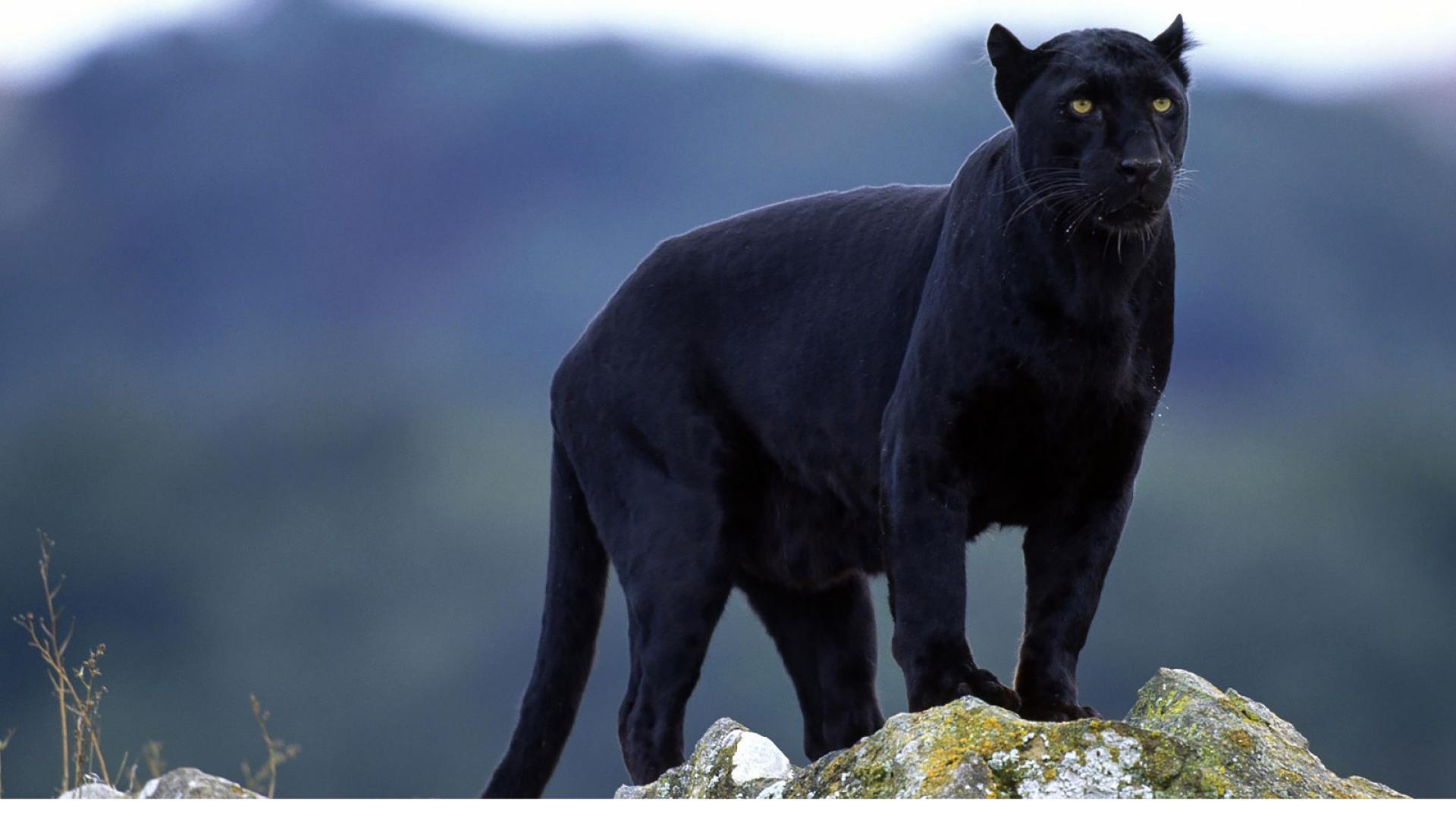 Временният кризисен щаб отправи предупреждение към гражданите да избягват посещения