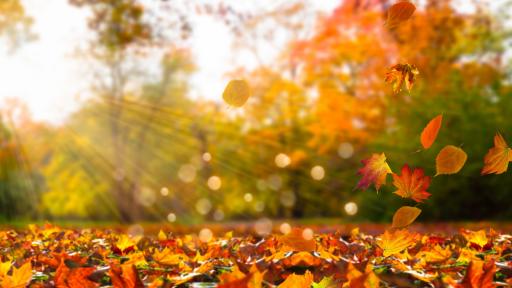  Къде ще вали дъжд и сняг през днешния ден, до 26 градуса на морето 