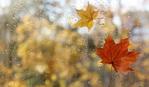 Рязка промяна във времето: Жълт код за дъжд и вятър