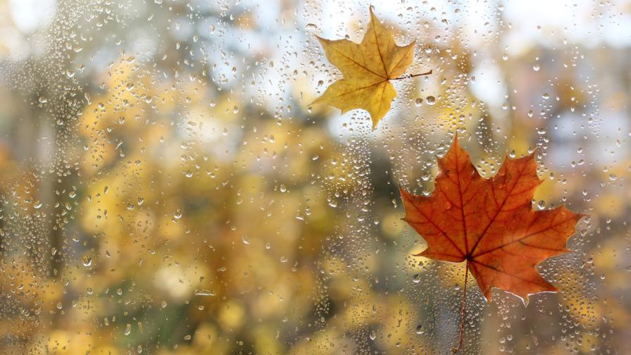 Рязка промяна във времето: Жълт код за дъжд и вятър