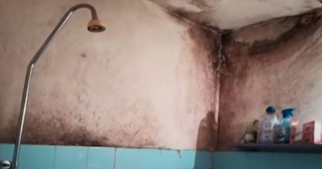 България Потресаваща мизерия в студентски общежития От управата на Лесотехническия