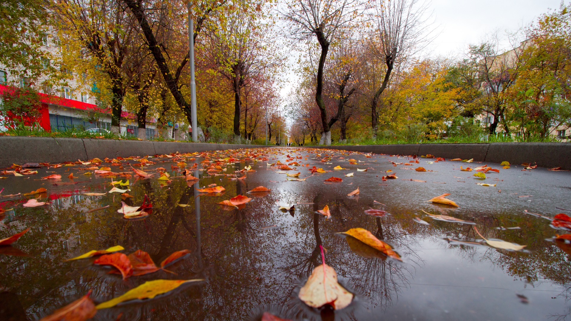 Дъждът продължава, температурите остават ниски - до 15 градуса в сряда