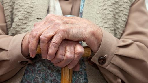  Германската пенсионерка, която сбъдна 