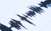  Силно земетресение е записано във Вранча 