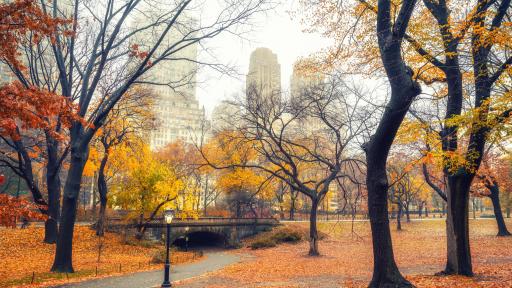  Мъгли в петък, какви ще са почивните дни 