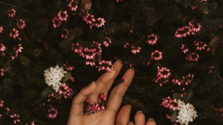  Какво разкриват линиите върху китката за вас? 