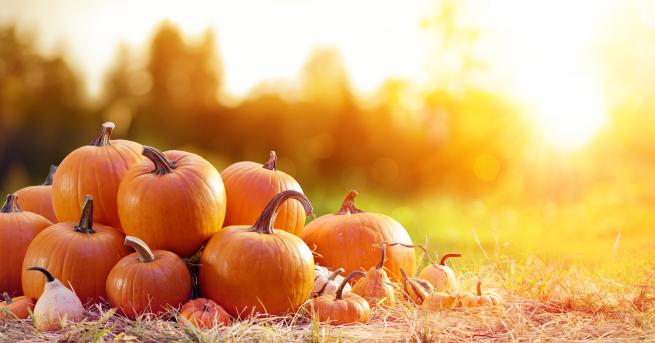 България Златна есен с високи температури докога Каква се очаква