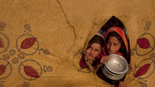  <p>Лятото там не е смешка, <strong>хора умират</strong></p> 