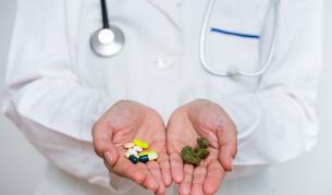 <p>Предпазва ли канабисът от коронавирус</p>