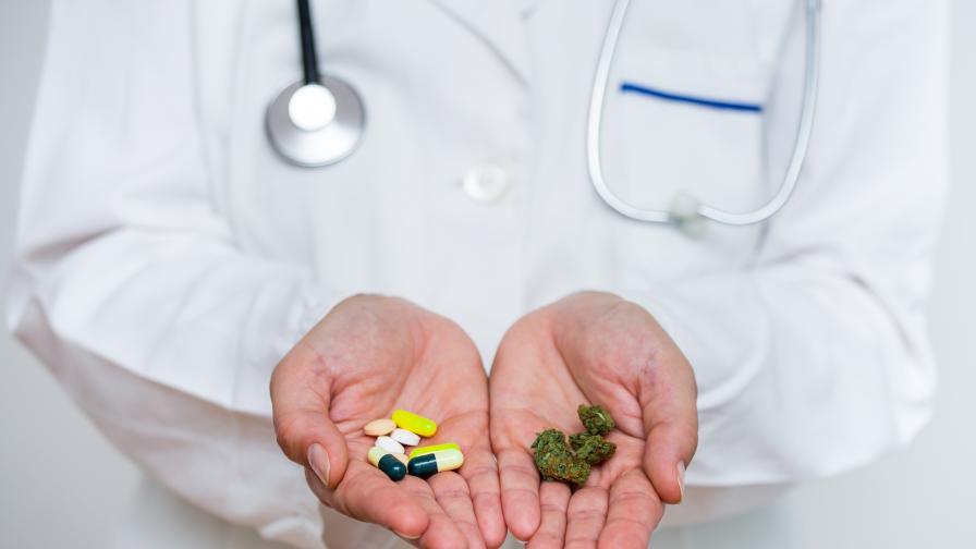  Възможно ли е канабисът за медицински цели да бъде узаконен у нас 